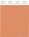 PANTONE SMART 16-1338X Color Swatch Card, Copper Tan