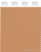 PANTONE SMART 16-1341X Color Swatch Card, Butterum