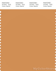 PANTONE SMART 16-1342X Color Swatch Card, Buckskin