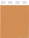 PANTONE SMART 16-1342X Color Swatch Card, Buckskin