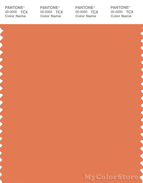 PANTONE SMART 16-1344X Color Swatch Card, Dusty Orange
