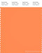 PANTONE SMART 16-1357X Color Swatch Card, Bird Of Paradise