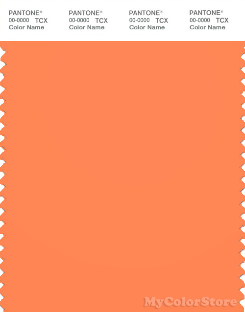 PANTONE SMART 16-1360X Color Swatch Card, Nectarine