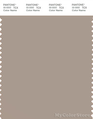 PANTONE SMART 16-1407X Color Swatch Card, Cobblestone