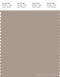 PANTONE SMART 16-1407X Color Swatch Card, Cobblestone
