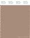 PANTONE SMART 16-1415X Color Swatch Card, Almondine