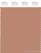 PANTONE SMART 16-1422X Color Swatch Card, Cork