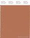 PANTONE SMART 16-1429X Color Swatch Card, Sunburn
