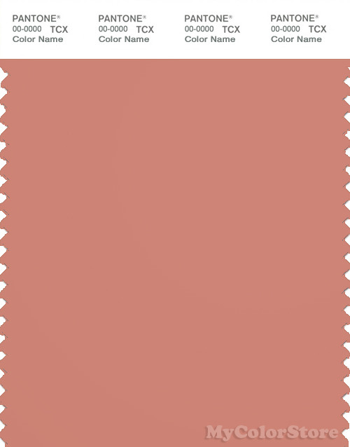 PANTONE SMART 16-1431X Color Swatch Card, Canyon Clay