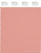 PANTONE SMART 16-1434X Color Swatch Card, Coral Almond