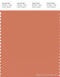PANTONE SMART 16-1435X Color Swatch Card, Carnelian