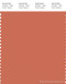 PANTONE SMART 16-1440X Color Swatch Card, Langastino