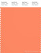 PANTONE SMART 16-1442X Color Swatch Card, Melon