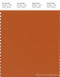 PANTONE SMART 16-1449X Color Swatch Card, Gold Flame