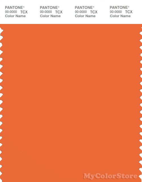 PANTONE SMART 16-1459X Color Swatch Card, Mandarin Orange
