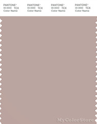 PANTONE SMART 16-1509X Color Swatch Card, Shadow Gray