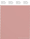 PANTONE SMART 16-1511X Color Swatch Card, Rose Tan