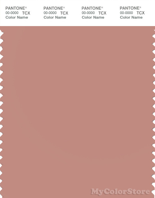 PANTONE SMART 16-1516X Color Swatch Card, Cameo Brown