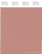 PANTONE SMART 16-1516X Color Swatch Card, Cameo Brown