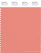 PANTONE SMART 16-1529X Color Swatch Card, Burnt Coral
