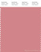PANTONE SMART 16-1617X Color Swatch Card, Mauveglow