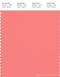 PANTONE SMART 16-1632X Color Swatch Card, Shell Pink