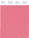 PANTONE SMART 16-1723X Color Swatch Card, Confetti