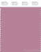 PANTONE SMART 16-2111X Color Swatch Card, Mauve Orchid