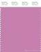 PANTONE SMART 16-3115X Color Swatch Card, Crocus