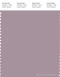PANTONE SMART 16-3304X Color Swatch Card, Sea Fog