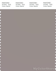 PANTONE SMART 16-3800X Color Swatch Card, Satellite