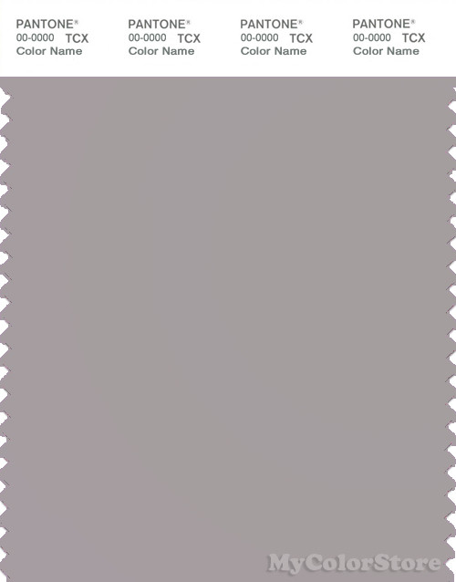 PANTONE SMART 16-3801X Color Swatch Card, Opal Gray