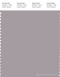 PANTONE SMART 16-3803X Color Swatch Card, Gull Gray