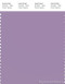PANTONE SMART 16-3817X Color Swatch Card, Rhapsody