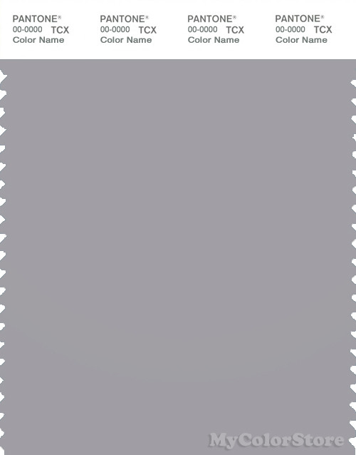 PANTONE SMART 16-3850X Color Swatch Card, Silver Sconce