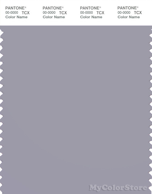 PANTONE SMART 16-3907X Color Swatch Card, Dapple Gray