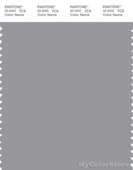 PANTONE SMART 16-3915X Color Swatch Card, Alloy