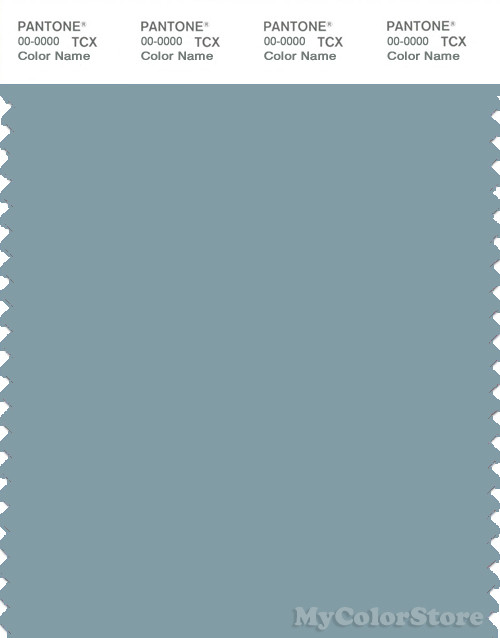 PANTONE SMART 16-4114X Color Swatch Card, Stone Blue