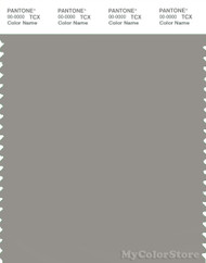 PANTONE SMART 16-4400X Color Swatch Card, Mourning Dove