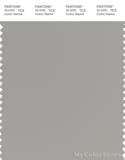 PANTONE SMART 16-4402X Color Swatch Card, Drizzle