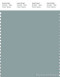 PANTONE SMART 16-4408X Color Swatch Card, Slate