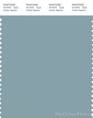 PANTONE SMART 16-4411X Color Swatch Card, Tourmaline