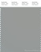 PANTONE SMART 16-4702X Color Swatch Card, Limestone