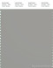 PANTONE SMART 16-4703X Color Swatch Card, Ghost Gray