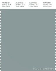 PANTONE SMART 16-4706X Color Swatch Card, Silver Blue
