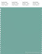 PANTONE SMART 16-5109X Color Swatch Card, Wasabi