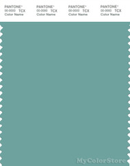 PANTONE SMART 16-5112X Color Swatch Card, Canton