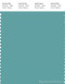 PANTONE SMART 16-5121X Color Swatch Card, Meadowbrook