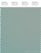 PANTONE SMART 16-5304X Color Swatch Card, Jadeite