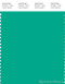 PANTONE SMART 16-5431X Color Swatch Card, Peacock Green